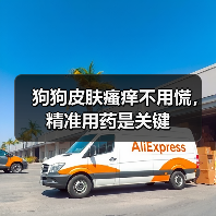 狗狗皮肤瘙痒不用慌，精准用药是关键