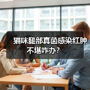 猫咪腿部真菌感染红肿不堪咋办?(图1) 猫咪腿部真菌感染红肿不堪咋办?(图1)
