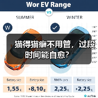 猫得猫癣不用管,过段时间能自愈?(图4) 猫得猫癣不用管,过段时间能自愈?(图4)
