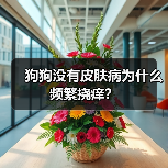 狗狗没有皮肤病为什么频繁挠痒？