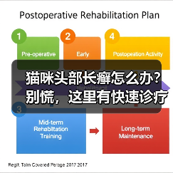 猫咪头部长癣怎么办？别慌，这里有快速诊疗方法