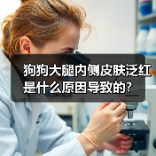 狗狗大腿内侧皮肤泛红是什么原因导致的？