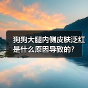 狗狗大腿内侧皮肤泛红是什么原因导致的？（图3）