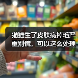 猫猫生了皮肤病掉毛严重别慌，可以这么处理！（图3）