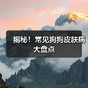 揭秘！常见狗狗皮肤病大盘点