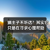 猫主子不听话?其实它只是在寻求心理帮助(图2) 猫主子不听话?其实它只是在寻求心理帮助(图2)