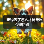 宠物丢了怎么才能走出心理阴影(图1) 宠物丢了怎么才能走出心理阴影(图1)