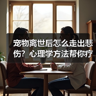 宠物离世后怎么走出悲伤?心理学方法帮你疗愈(图4) 宠物离世后怎么走出悲伤?心理学方法帮你疗愈(图4)