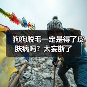 狗狗脱毛一定是得了皮肤病吗?太妄断了(图1) 狗狗脱毛一定是得了皮肤病吗?太妄断了(图1)