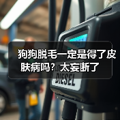 狗狗脱毛一定是得了皮肤病吗?太妄断了(图2) 狗狗脱毛一定是得了皮肤病吗?太妄断了(图2)