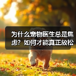 为什么宠物医生总是焦虑？如何才能真正放松？