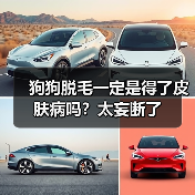 狗狗脱毛一定是得了皮肤病吗?太妄断了(图4) 狗狗脱毛一定是得了皮肤病吗?太妄断了(图4)