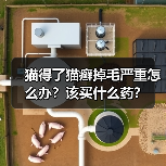 猫得了猫癣掉毛严重怎么办？该买什么药？