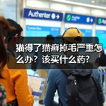 猫得了猫癣掉毛严重怎么办?该买什么药?(图3) 猫得了猫癣掉毛严重怎么办?该买什么药?(图3)
