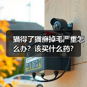 猫得了猫癣掉毛严重怎么办?该买什么药?(图4) 猫得了猫癣掉毛严重怎么办?该买什么药?(图4)