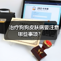 治疗狗狗皮肤病要注意哪些事项？