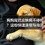 狗狗尾巴皮肤病不停咬?这份快速康复指南请收好!(图3) 狗狗尾巴皮肤病不停咬?这份快速康复指南请收好!(图3)