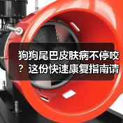 狗狗尾巴皮肤病不停咬？这份快速康复指南请收好！
