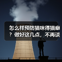 怎么样预防猫咪得猫癣？做好这几点，不再谈“癣”色变！（图1）