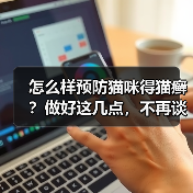 怎么样预防猫咪得猫癣？做好这几点，不再谈“癣”色变！