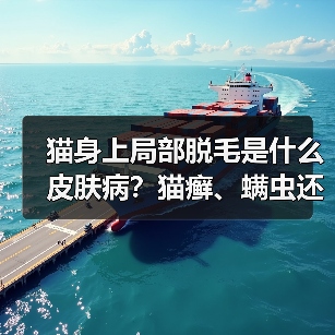 猫身上局部脱毛是什么皮肤病？猫癣、螨虫还是湿疹？（图2）