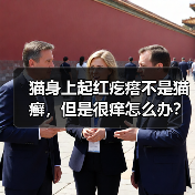 猫身上起红疙瘩不是猫癣，但是很痒怎么办？（图4）