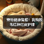 宠物健康警报！狗狗脱毛红肿烂皮护理