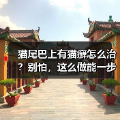猫尾巴上有猫癣怎么治?别怕,这么做能一步到位!(图1) 猫尾巴上有猫癣怎么治?别怕,这么做能一步到位!(图1)
