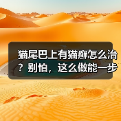 猫尾巴上有猫癣怎么治?别怕,这么做能一步到位!(图2) 猫尾巴上有猫癣怎么治?别怕,这么做能一步到位!(图2)