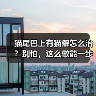 猫尾巴上有猫癣怎么治？别怕，这么做能一步到位！