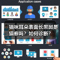 猫咪耳朵表面长黑斑是猫癣吗？如何诊断？