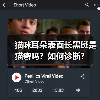 猫咪耳朵表面长黑斑是猫癣吗？如何诊断？（图4）