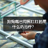 狗狗嘴巴周围红红的用什么药治疗？（图4）