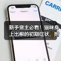 新手宠主必看！猫咪身上出癣的初期症状，附高清图片！（图1）