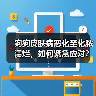 狗狗皮肤病恶化至化脓溃烂，如何紧急应对？（图2）