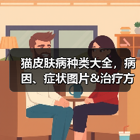 猫皮肤病种类大全，病因、症状图片&治疗方法