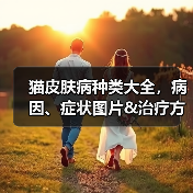 猫皮肤病种类大全,病因、症状图片&治疗方法(图4) 猫皮肤病种类大全,病因、症状图片&治疗方法(图4)