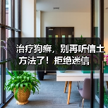 治疗狗癣，别再听信土方法了！拒绝迷信