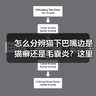 怎么分辨猫下巴嘴边是猫癣还是毛囊炎？这里有对照图！