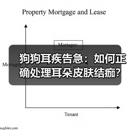 狗狗耳疾告急：如何正确处理耳朵皮肤结痂？（图4）