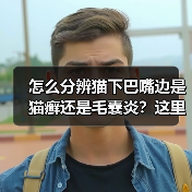 怎么分辨猫下巴嘴边是猫癣还是毛囊炎?这里有对照图!(图2) 怎么分辨猫下巴嘴边是猫癣还是毛囊炎?这里有对照图!(图2)