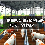 伊曲康唑治疗猫咪猫癣几天一个疗程？