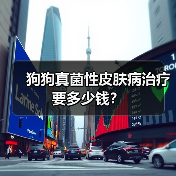 狗狗真菌性皮肤病治疗要多少钱?(图1) 狗狗真菌性皮肤病治疗要多少钱?(图1)