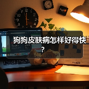 狗狗皮肤病怎样好得快?(图4) 狗狗皮肤病怎样好得快?(图4)