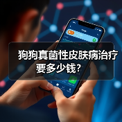 狗狗真菌性皮肤病治疗要多少钱?(图3) 狗狗真菌性皮肤病治疗要多少钱?(图3)