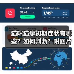 猫咪猫癣初期症状有哪些？如何判断？附图片