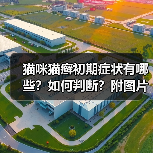 猫咪猫癣初期症状有哪些?如何判断?附图片(图2) 猫咪猫癣初期症状有哪些?如何判断?附图片(图2)