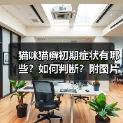 猫咪猫癣初期症状有哪些?如何判断?附图片(图3) 猫咪猫癣初期症状有哪些?如何判断?附图片(图3)