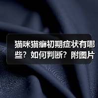 猫咪猫癣初期症状有哪些?如何判断?附图片(图4) 猫咪猫癣初期症状有哪些?如何判断?附图片(图4)