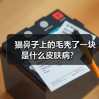猫鼻子上的毛秃了一块是什么皮肤病？